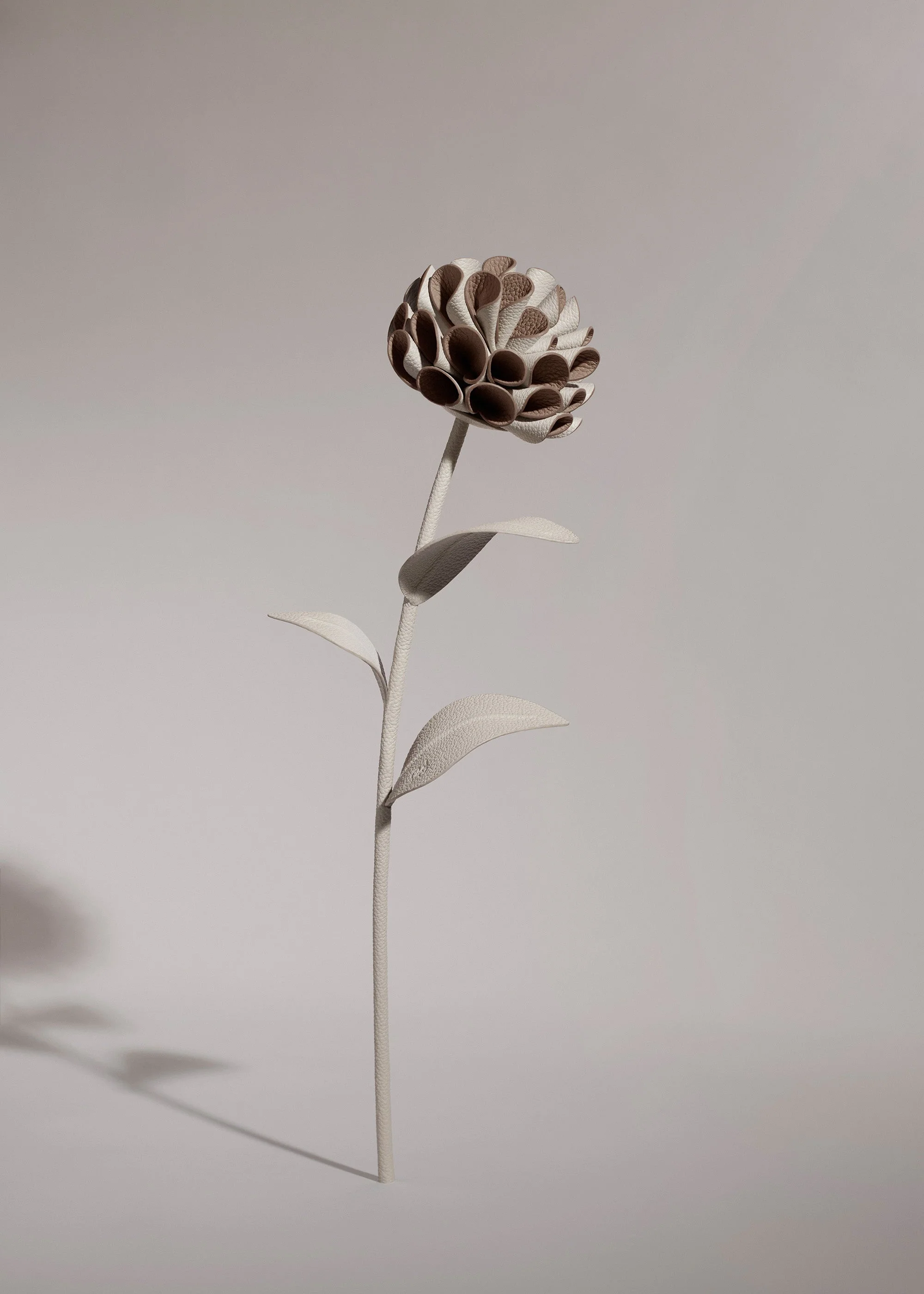 Fiore Dalium - Gesso - Image 2